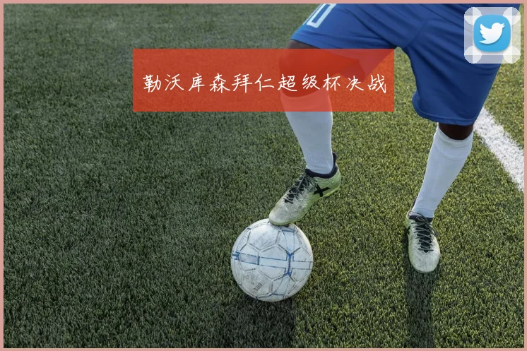 勒沃库森拜仁超级杯决战