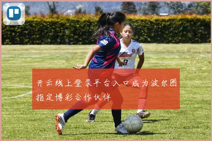 开云线上登录平台入口成为波尔图指定博彩合作伙伴